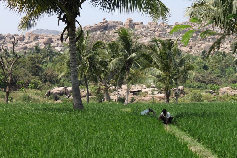 India 2010 - Hampi - Virupapur Gaddi